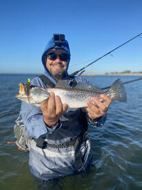 Palmetto Report Photo 2