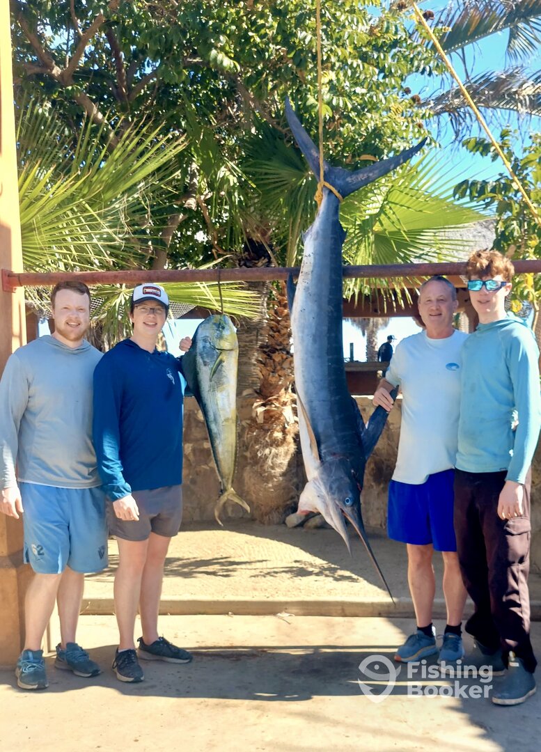 San Jose del Cabo Report Photo 0