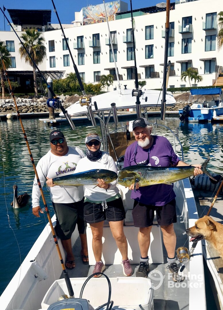 San Jose del Cabo Report Photo 0