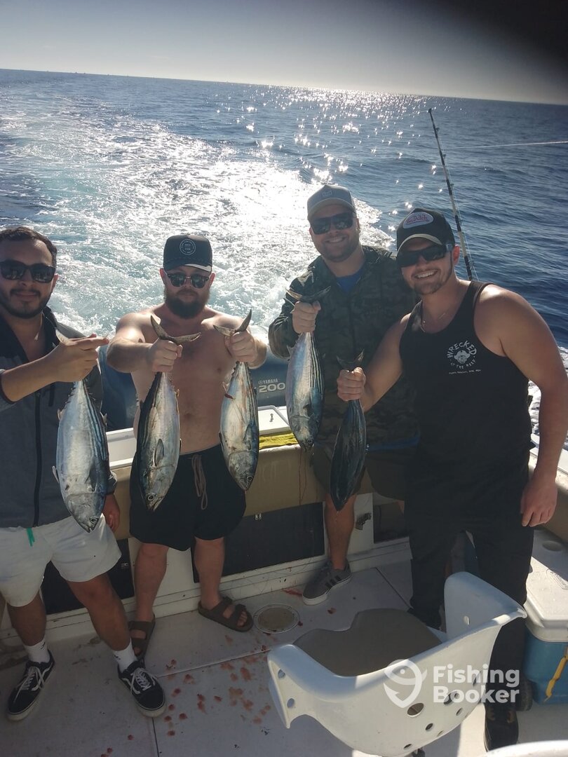 San Jose del Cabo Report Photo 0