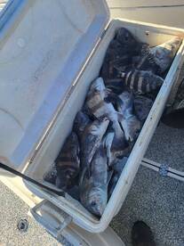 Full Coolers every day!