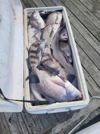 Sulphur Report Photo 2