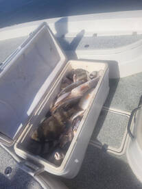 Sulphur Report Photo 1