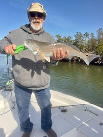 Punta Gorda Report Photo 2