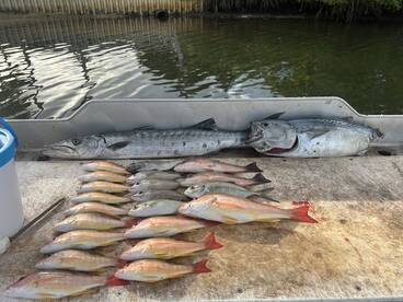 Snappers thisafternoon