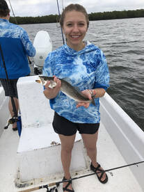 Palmetto Report Photo 2