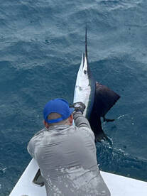 Key West Report Photo 1