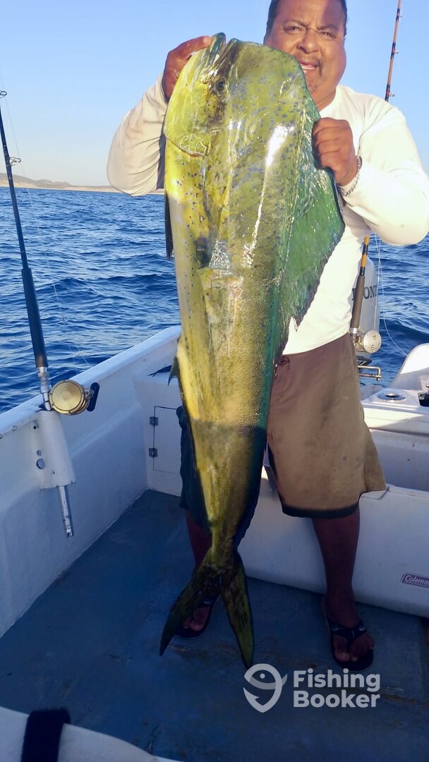 San Jose del Cabo Report Photo 0