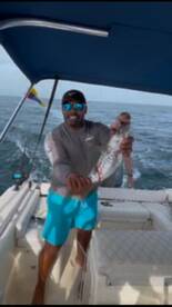 Black fin tuna around 