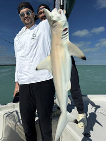 Islamorada Report Photo 2