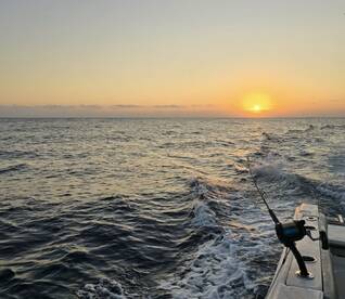 Puerto Aventuras Report Photo 1