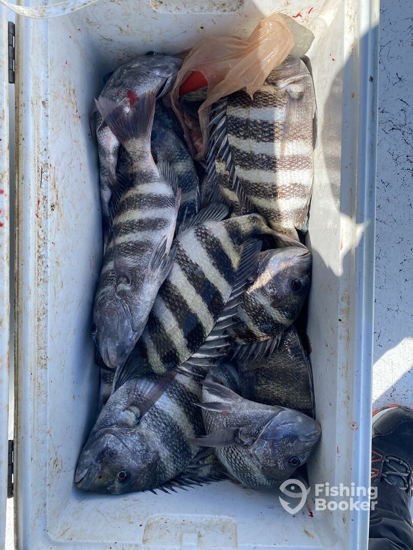 Fort Myers Report Photo 0