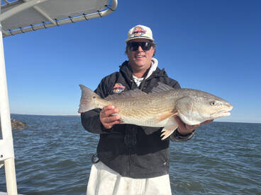 Winter Reds and Black Drum