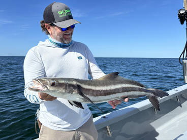 Naples Report Photo 2