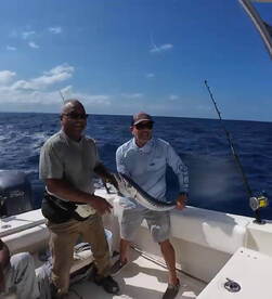 Baracuda and shark day 