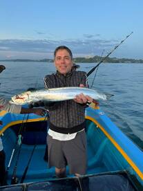 Wolf herring