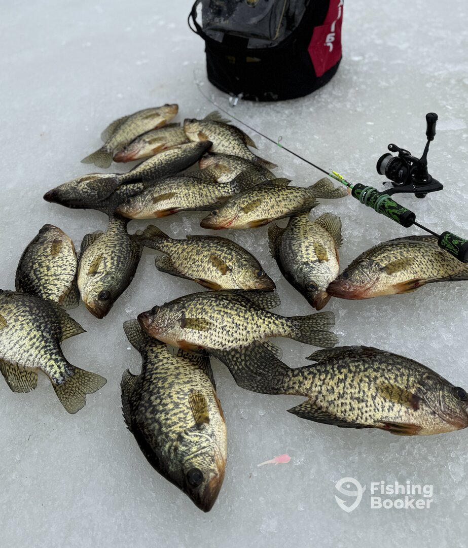 Marquette Report Photo 0