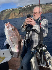 Funchal Report Photo 2