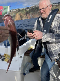 Funchal Report Photo 1