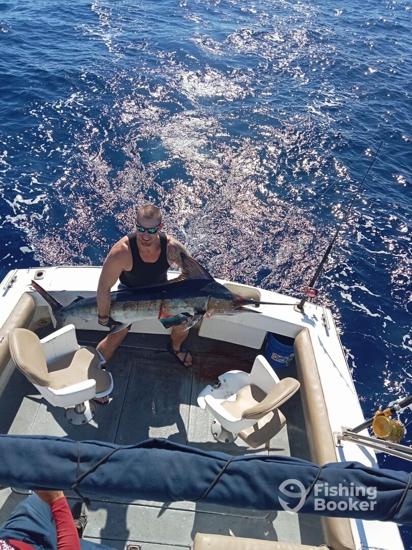 Cabo San Lucas Report Photo 0