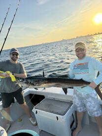 Sailfish season is here! 