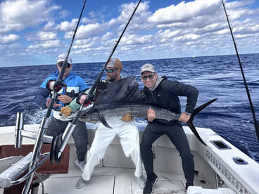 Sailfish season!