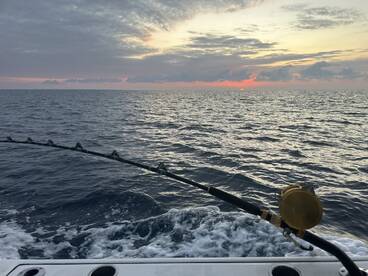 Puerto Aventuras Report Photo 1