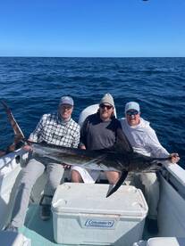 San Jose del Cabo Report Photo 1
