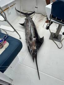 Le Morne Report Photo 1