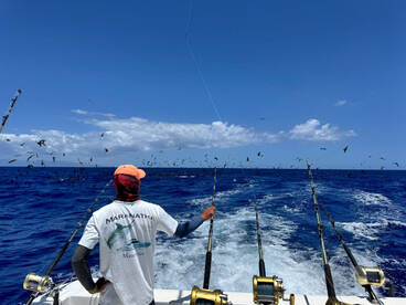 Le Morne Report Photo 1