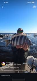 Winter Jetty Success