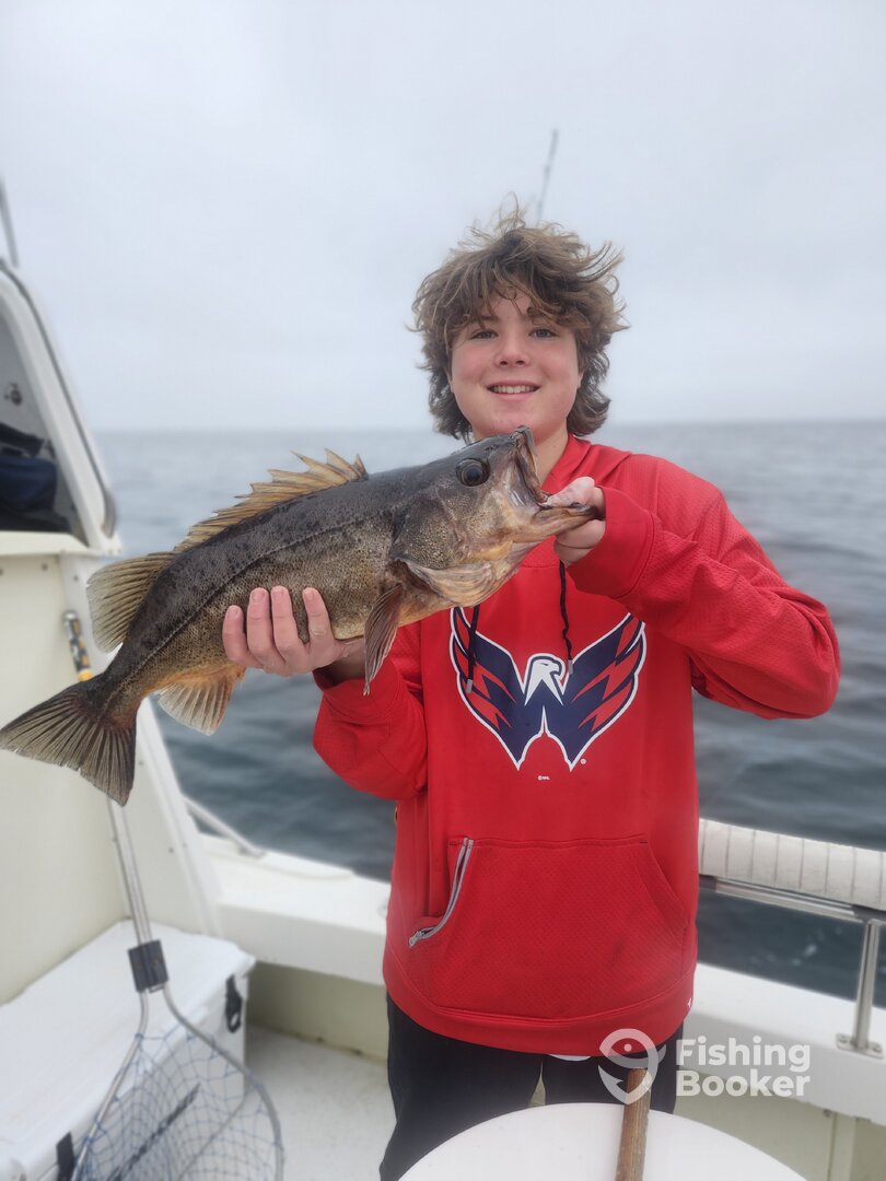 San Diego Report Photo 0