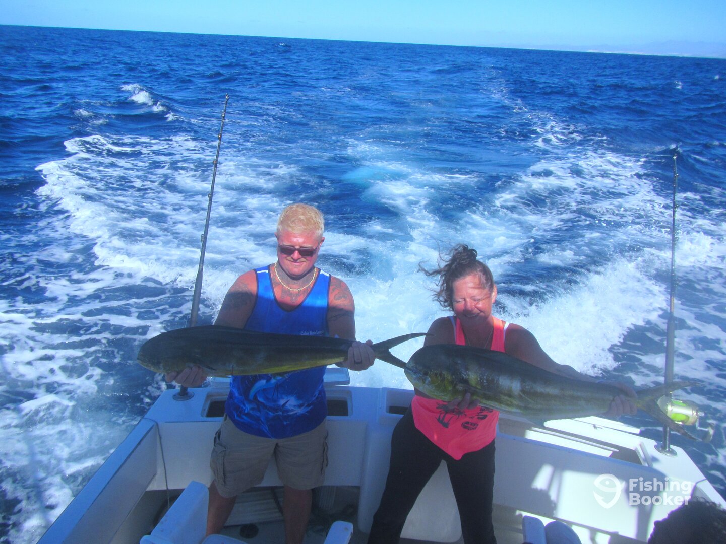Cabo San Lucas Report Photo 0