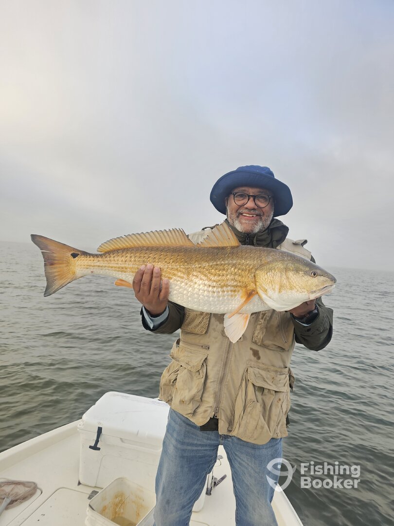 New Orleans Report Photo 0