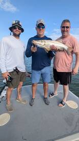 Gamboa Report Photo 2
