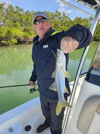 Sarasota Report Photo 2