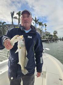 Sarasota Report Photo 1