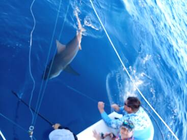 Catch, tag & release