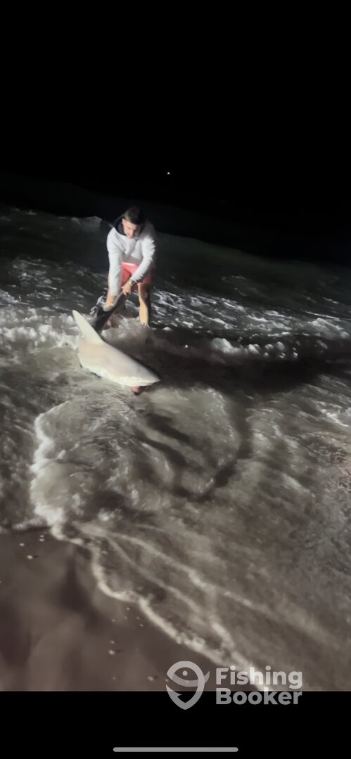 Destin Report Photo 0