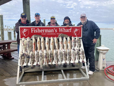 Super low tide easy fishing
