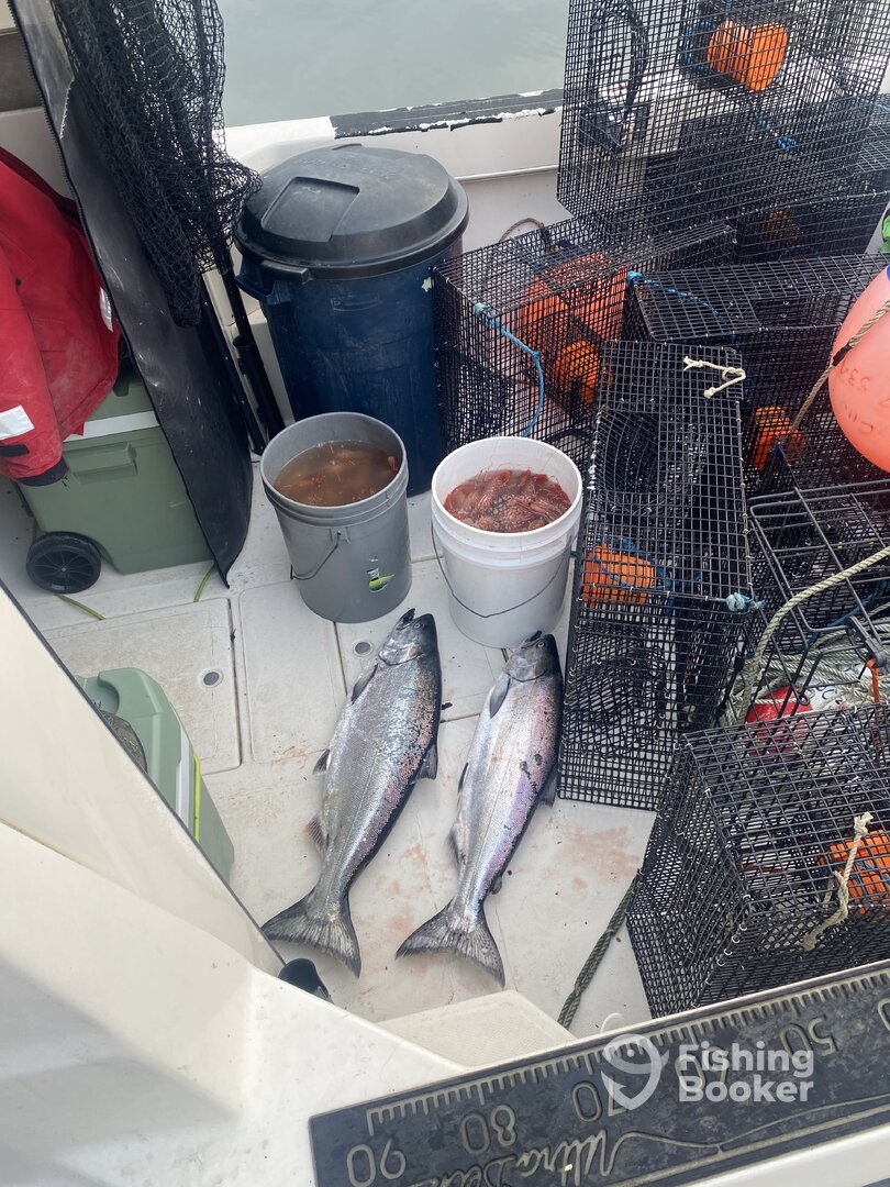 a couple Chinook and some prawns