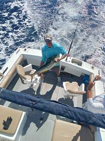 Cabo San Lucas Report Photo 1