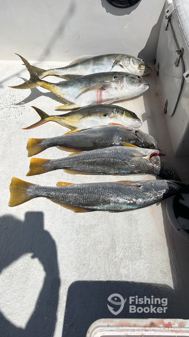 Herradura Report Photo 0