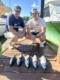 Dania Beach Report Photo 2
