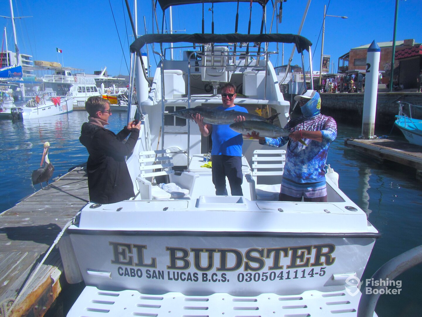 Cabo San Lucas Report Photo 0