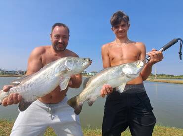 Bangkok Report Photo 1