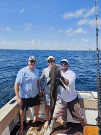 Big Cobia 
