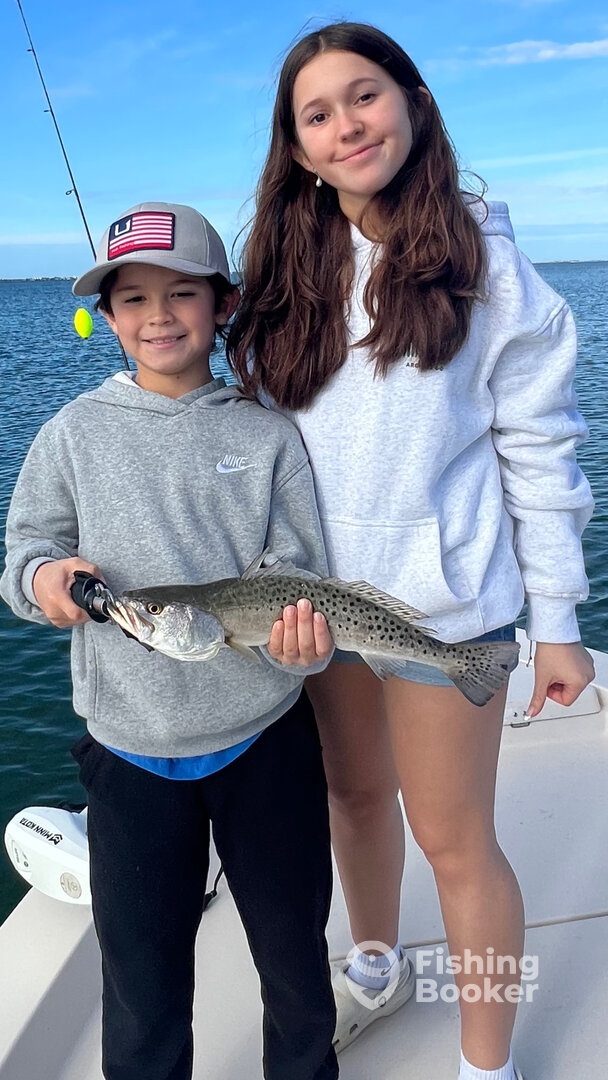Sarasota Report Photo 0