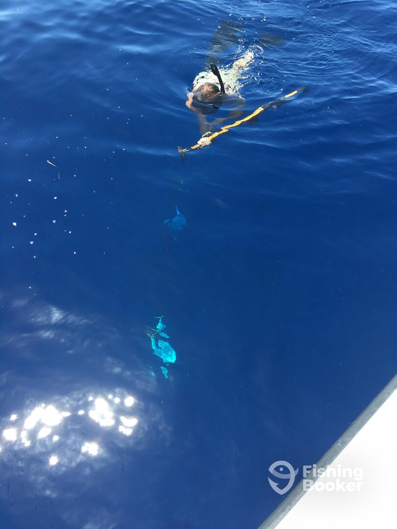 The youngest jumped in and speared a few. First time!!