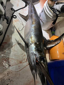 North Sound Estates Report Photo 2